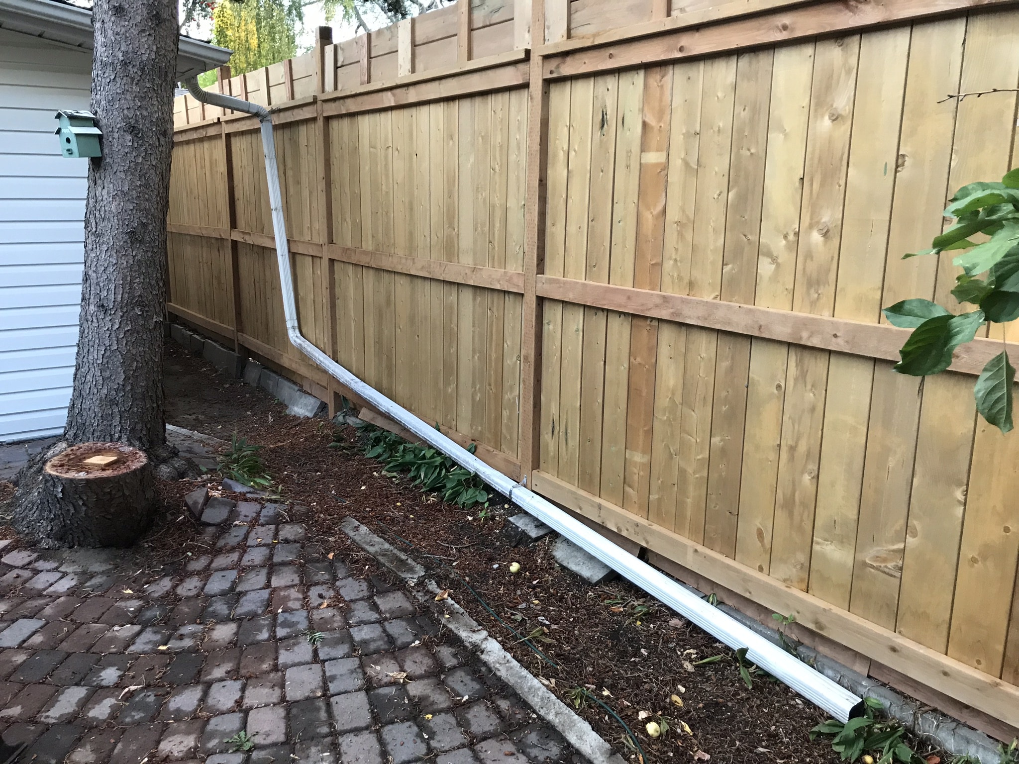 Tall Fence